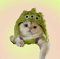 Hat-Alien-01.jpg